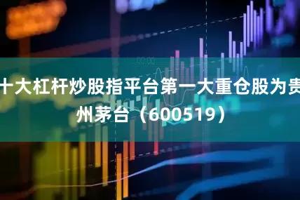 十大杠杆炒股指平台第一大重仓股为贵州茅台（600519）